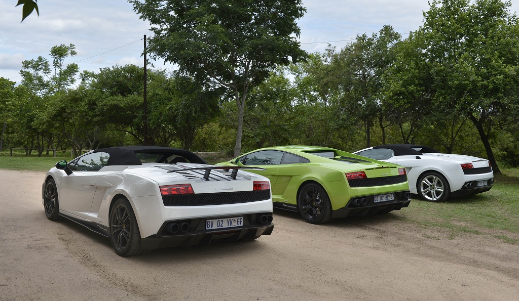 Lamborghini-Gallardo (2)