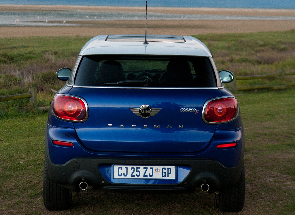 Mini-Paceman (4)
