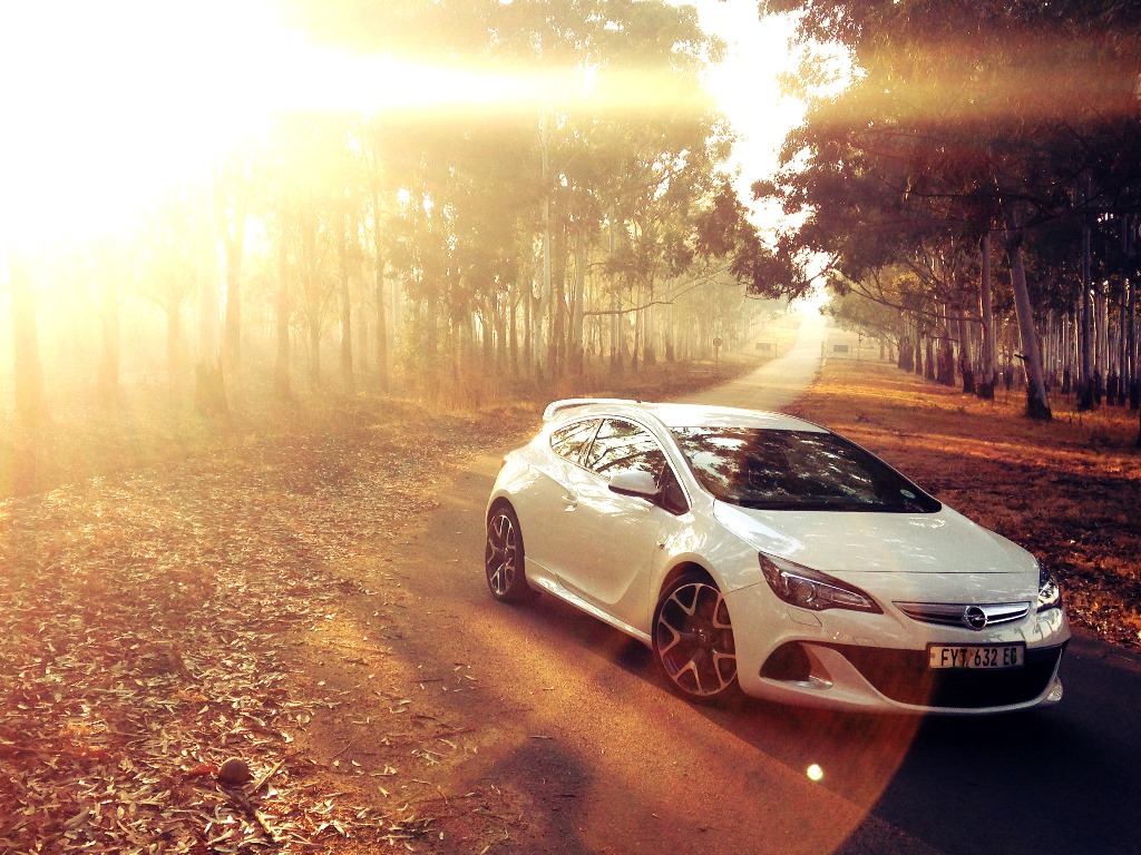 OPC1