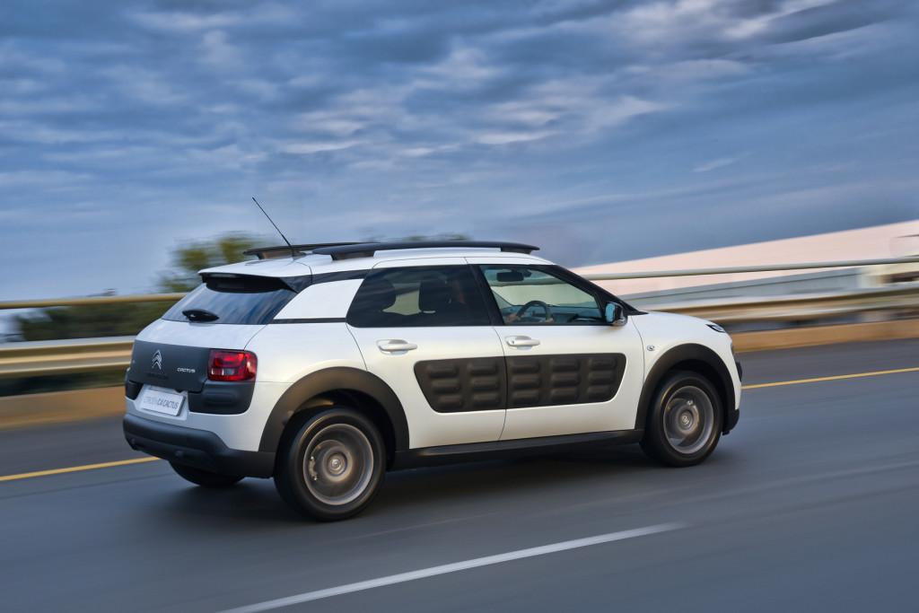 C4 Cactus (1)