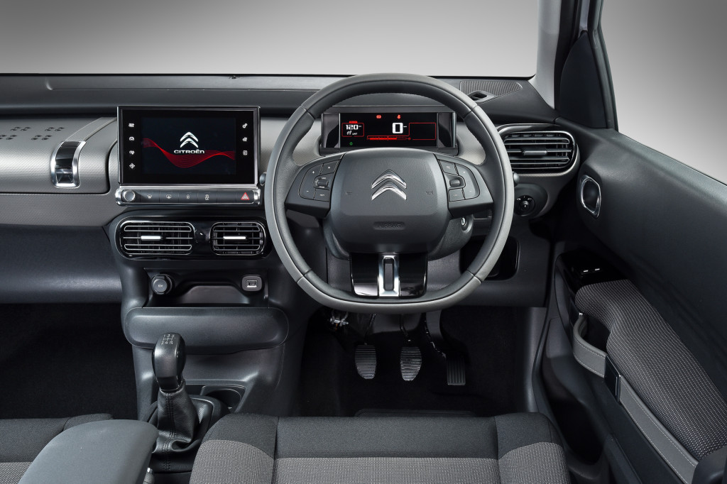 C4 Cactus (2)