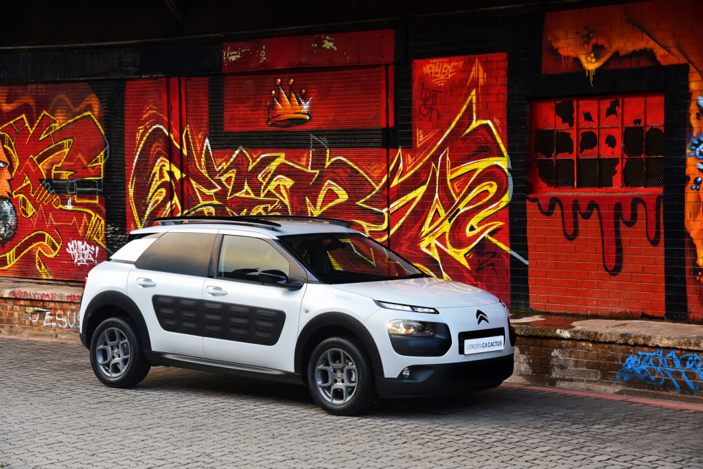 C4 Cactus (5)