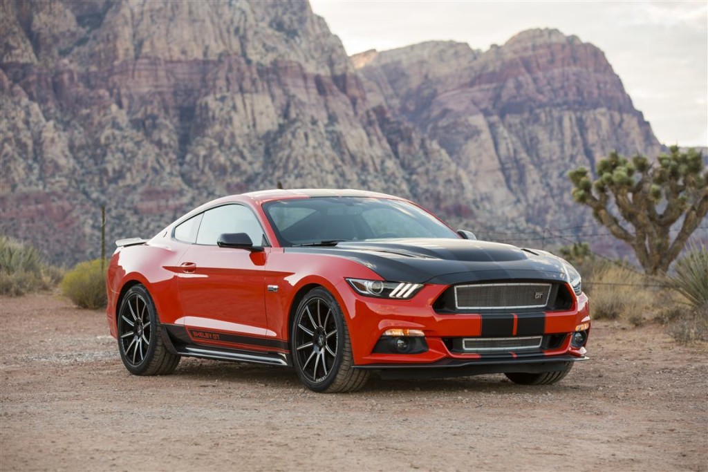 Mustang in SA (1)